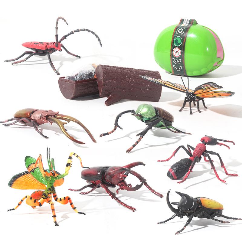 Children's Cross-Border Animal Beetle Model - Realistic Solid Plastic Insect Toy