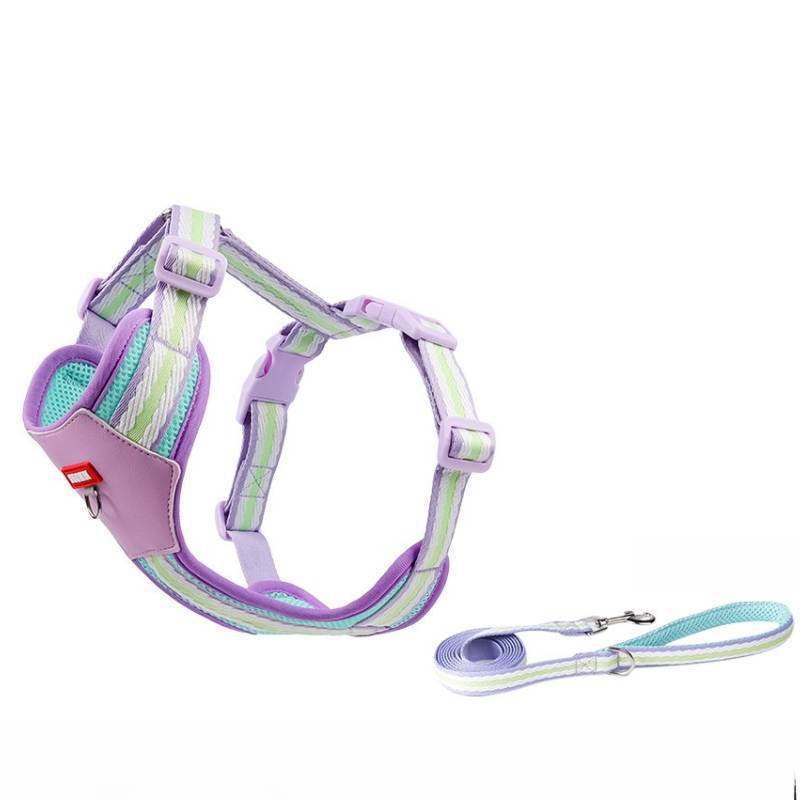 Pet Breathable Chest Harness For Medium And Small Dogs With Nonextendable Lead