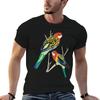T-shirts e tops – T-Shirts