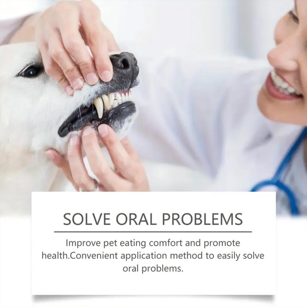 Deep Cleaning of Teeth Before Bedtime Saves Time and Effort In Caring for Furry Children