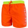 Crowell Men's Swim Shorts