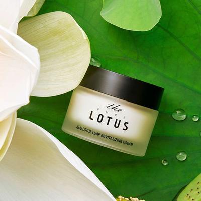 THEPURELOTUS Jeju Revitalizační krém s lotosovým listem 50 ml