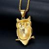 Hip Hop Iced Out Owl Pendant Necklace For Women Gold Color Stainless Steel Animal Bling AAA CZ Necklace Women's Jewelry