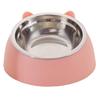 Oblique Mouth Cat Bowls for Food and Water Cute Small Pet Non-Slip Stainless Steel Feeder Bowl To Protect Cervical