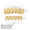Hip Hop Braces Mirror Grillz Inlaid with Zircon Six Teeth Gold Plated Teeth Braces Halloween Trendy Men's Personality Jewelry