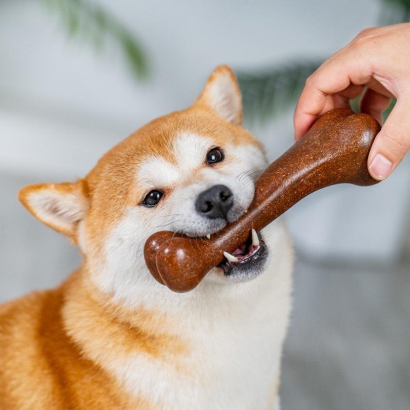 Dog Bone Chews Toys Nearly Indestructible Natural Non-Toxic Anti-bite Puppy Toys For Small Medium Large Dog Pet Chew Game Denta