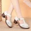 Roman Sandals Summer Shoes For Women Bag-Toe Hollow Single Shoes Hollow Woven Pig Cage Shoes Casual Breathable Simple Commuting