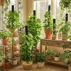 Ventilate Climbing Plant Stand Plastic Potted Plant Holder Climbing Vine Pillar  Indoor Plant Use