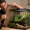 Reptilien Korkrinde Wasserbeständig Kletter Übungsspielzeug Terrarium Natürliche Korkrinde Für Schlange Eidechse Schildkröte Gecko Schildkröte