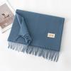Cashmere Feel Solid Color Scarf for Women Imitation Cashmere Autumn and Winter Atmosphere Korean Style Versatile Mid Length Shawl Scarf