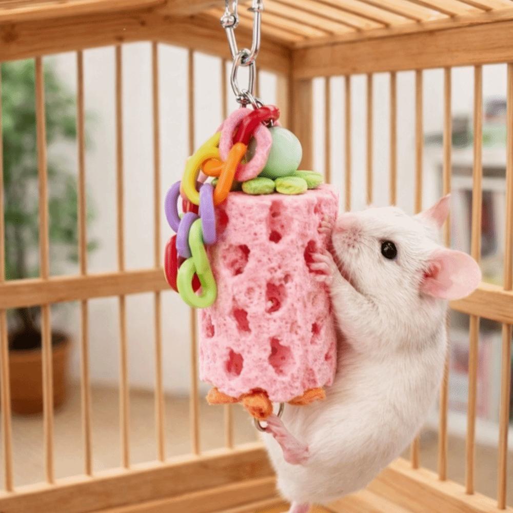 Colorful Parrot Chewing Toys Interactive Hanging Hamster Grinding Stone Bite Resistant Mouth Molar String Parrot Cage