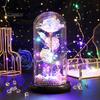 No Maintenance Flower Gift Rose Gifts for Her Mom Wife Grandma Light Up Eternal Lasting in A Dome Romantic Anniversary Birthday Valentine's