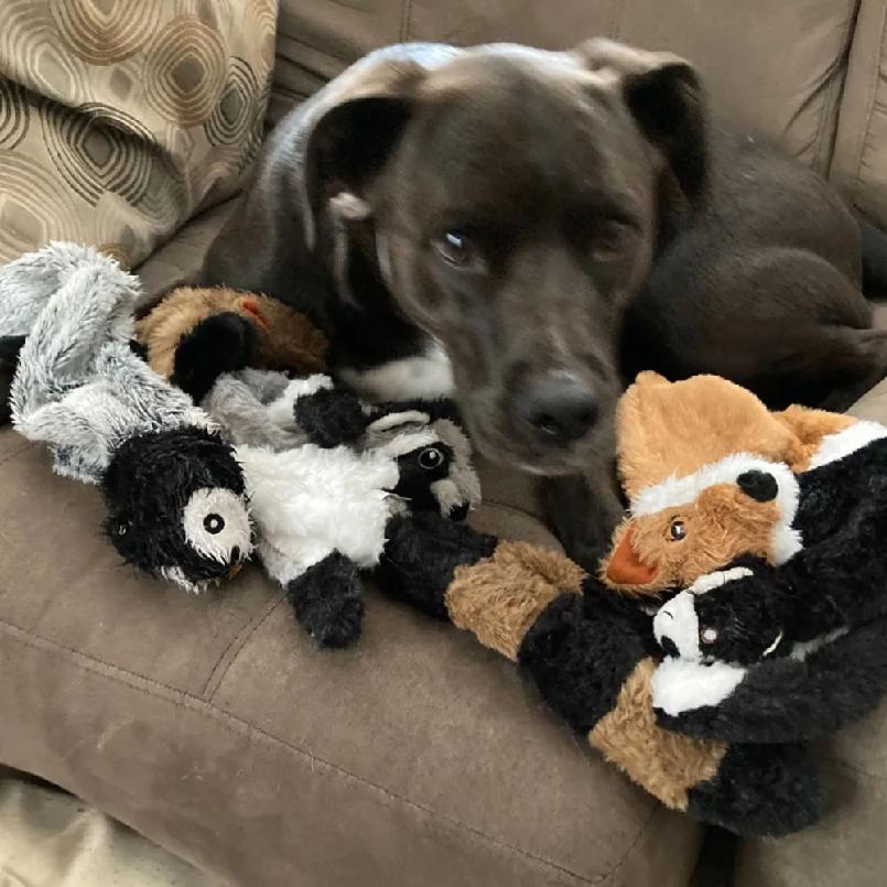 Giocattolo per cani divertente simulato senza imbottitura con cigolii, giocattolo da masticare per cani con cigolii, peluche resistente senza imbottitura, giocattolo squittio per animali domestici
