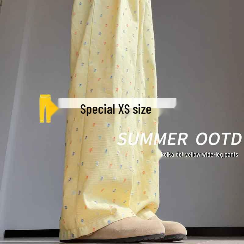 

Colorful Polka Dot High-Waist Wide Leg Ice Silk Pants for Women XS (60-79 lbs)