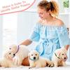 16pcs Breathable Puppy Collars Adjustable Whelping Collars Newborn Puppy Collars  Newborn Pets