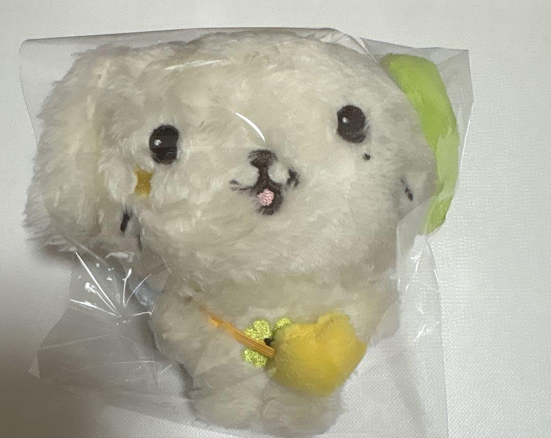 

[USED] NCT WISH wishdoll plush mascot Ryo RyonRyon