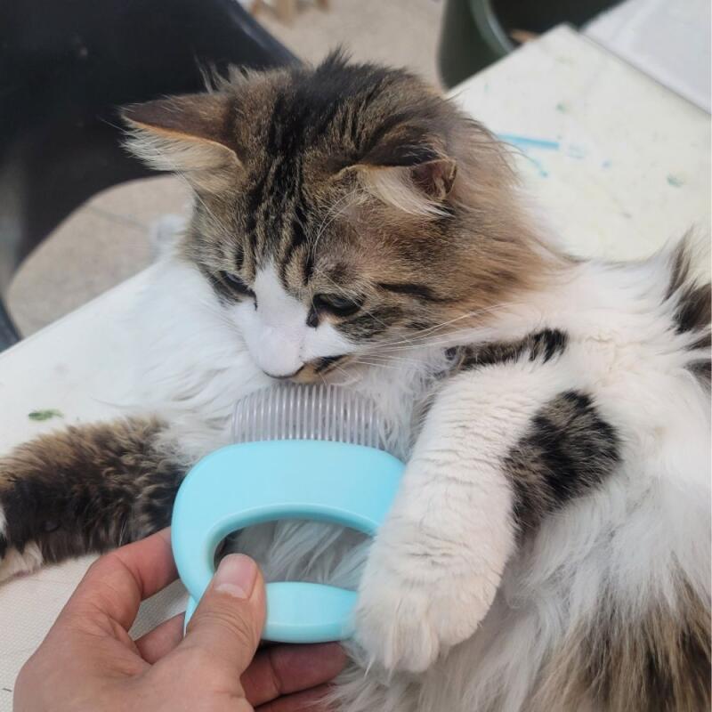 1 pet hair care massage brush Blue
