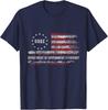 DOGE DEPARTMENT OF GOVERNMENT EFFICIENCY D.O.G.E. US Flag Unisex T-Shirt