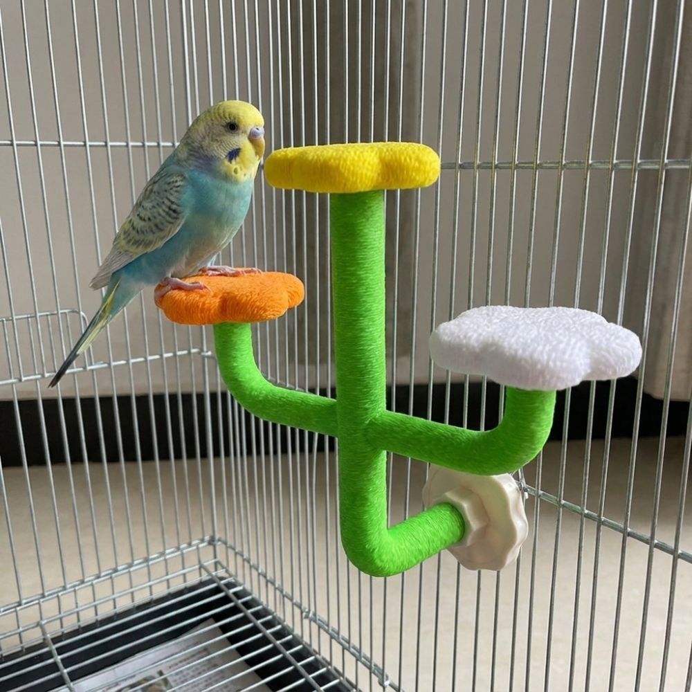 Wear Resistant Bird Cage Platform Space Saving Parrot Training Platform for Small Birds
