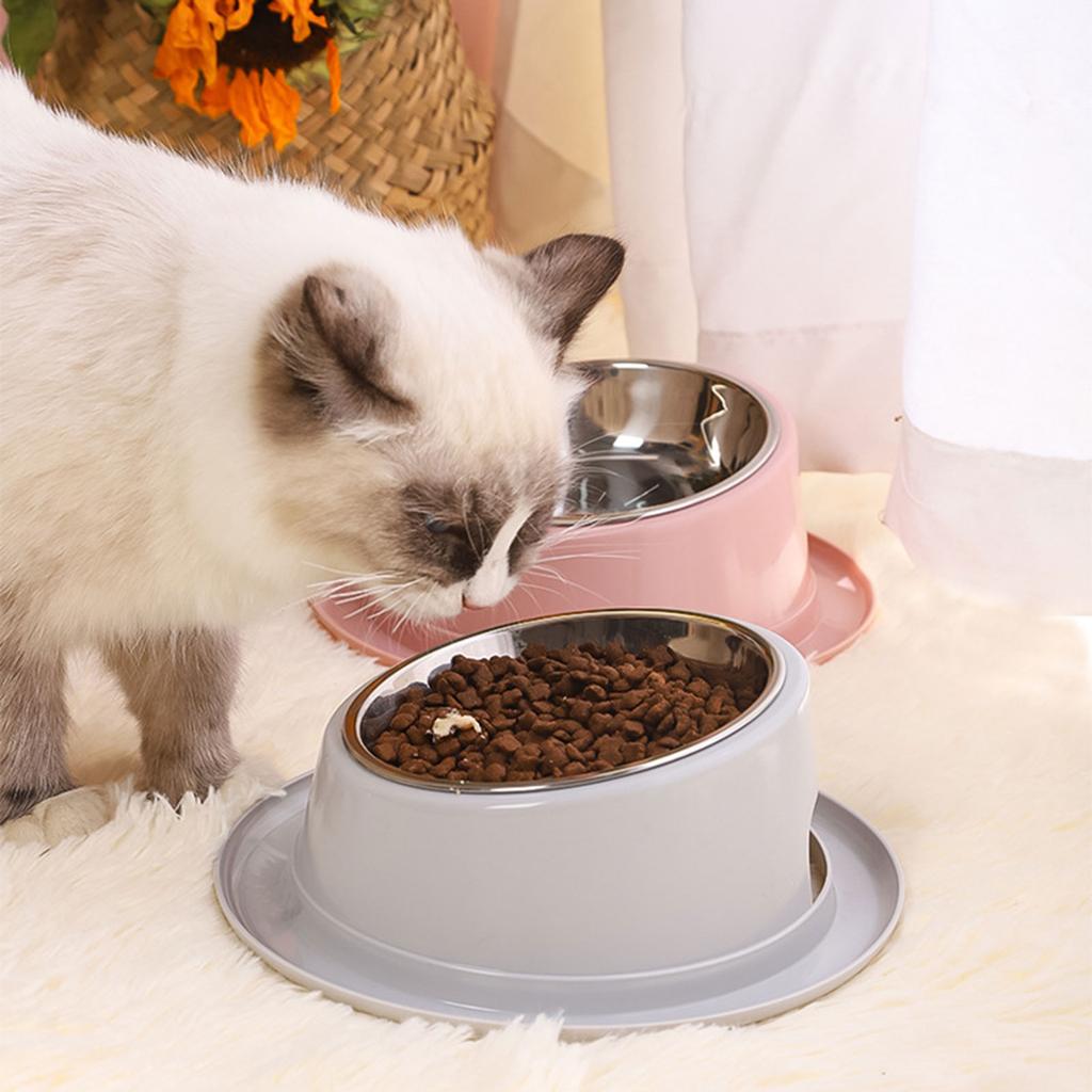 Pet Dishes Bowls with Stand for Kitten Small Dogs Food & Water Bowl 3 Options Tilted Elevated Bowl Protect Pet's Spine