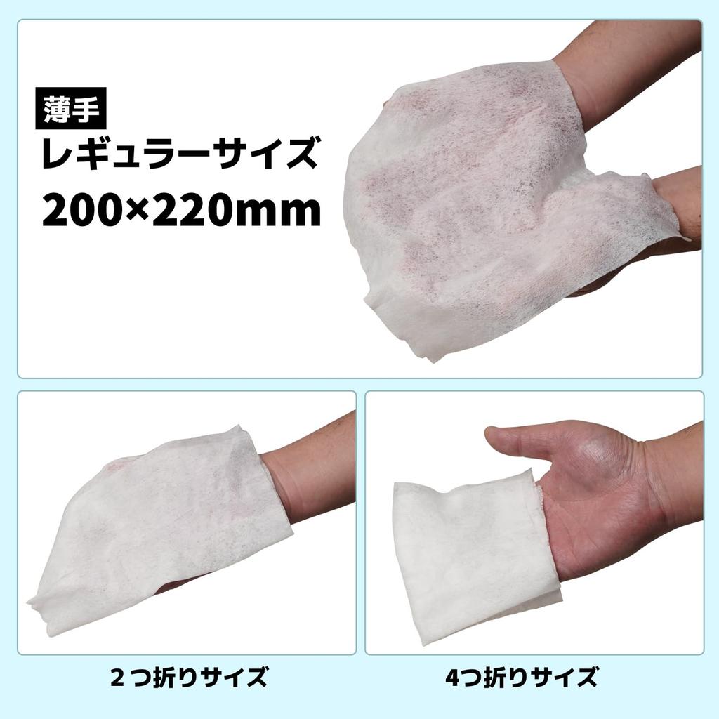 Wet Wipes for 100 Regular WS5100 Adults, Sheets, Thin, Size, Non-Flushable,