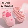 3 In 1 Cat Dog Steamy Brush Steam Brush Electric Sprayer Pet Hair Removal Combs for Massage Pet Grooming Brush Supplies