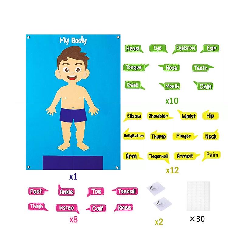 Kids' Felt Body Structure Puzzle Board With Organ Images