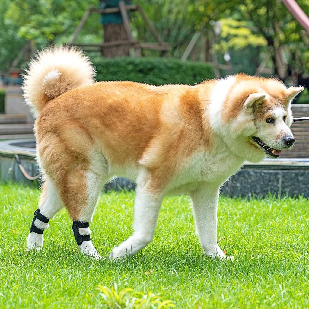 Pet Knee Pads Dog Leg Injury Aid Anti-Licking Light Joint Bandage Dog Knee Pads Injury Cover