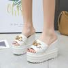 Fashion Women's Ultra High Slippers 2024 Summer New Fashion Thick Base Metal Decoration Women Wedding Banquet Party Luxurious Sandale