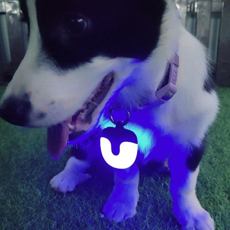 Evening Pet Walk Light Collar with Rechargeable Power, Daily Dog Gear Safety Light for Neighborhood Walk Use and Hanging Carry
