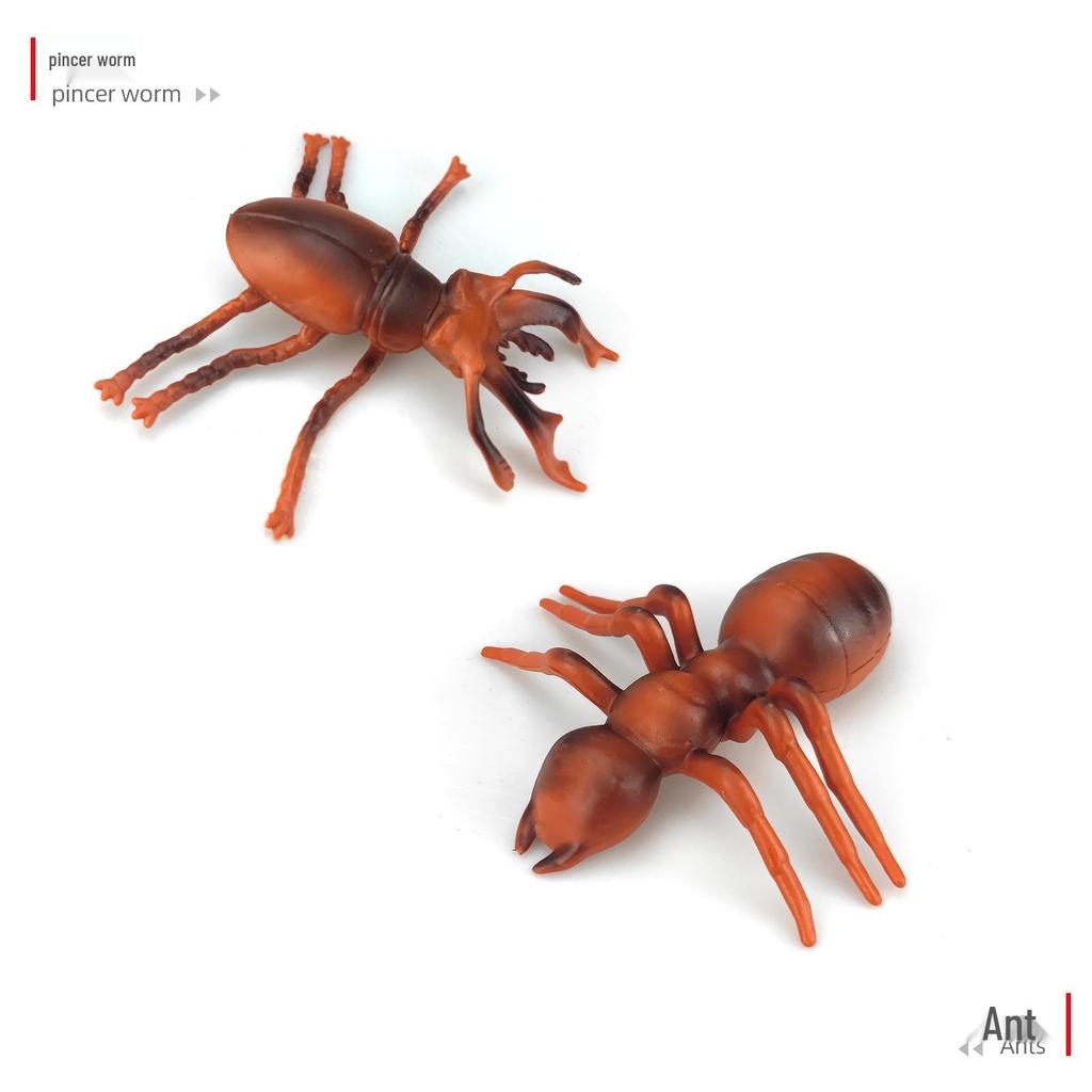 Children's Cognitive Teaching Toys: Insect Models - Butterfly, Ladybug, Rhinoceros Beetle, Bee, Grasshopper