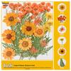 Handmade Pressed Flower Bookmark and Epoxy Sticker Pack with Real Leaf and Plant Specimens for DIY Face Makeup.