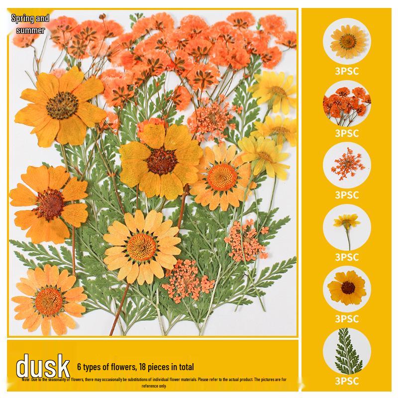 Handmade Pressed Flower Bookmark and Epoxy Sticker Pack with Real Leaf and Plant Specimens for DIY Face Makeup.