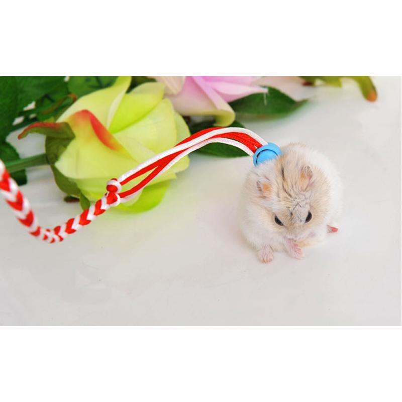 1.4m Adjustable Pet Hamster  Leash Adjustable Colored Traction Ropes Harness Lead Collar