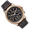 Citizen Eco-Drive Series Solar Powered Watch Men watches Gold BU2023-12E