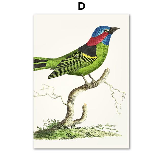 Papagal Pasăre Artă de perete de epocă Pictură pe pânză colibri colorat Postere nordice și imprimeuri Poze de perete pentru decorarea camerei de zi, fără cadru