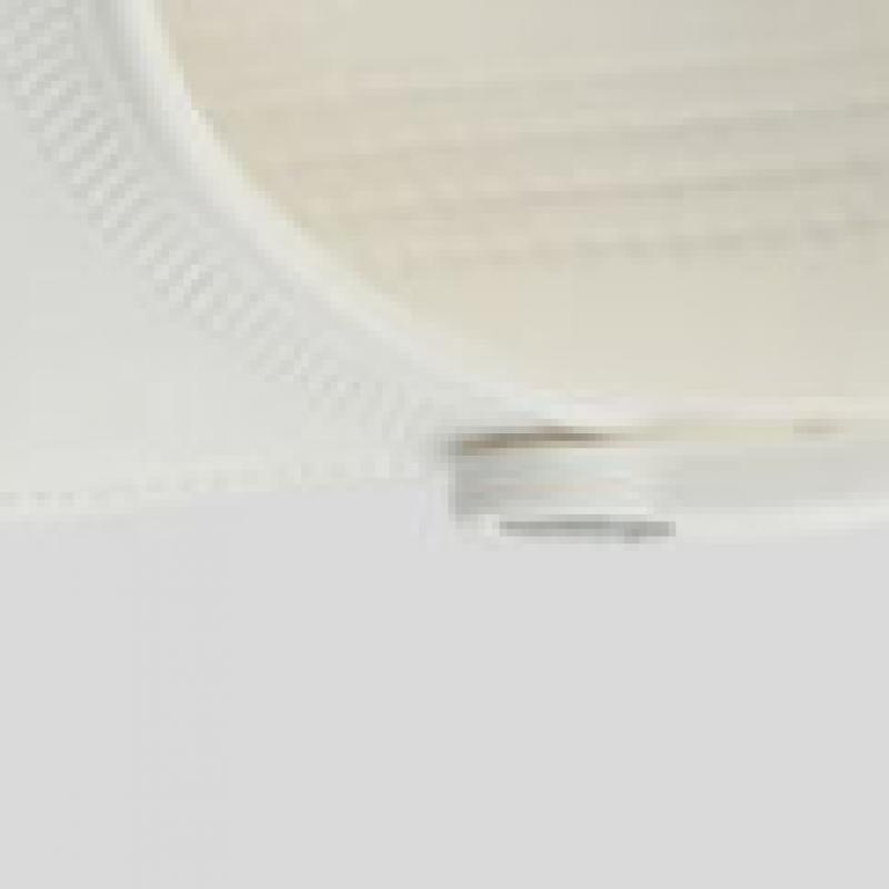 Crocs Classic Clog Adult Sandals White 10001 100