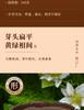Premium Mingqian West Lake Longjing Green Tea New Tea Gift Box 200g High End Head Picking Spring Tea for Elderly Leaders