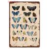 Funny Plants Metal Tin Sign Vintage English Flowers Retro Fruits Butterflys Animals Wall Poster Home Plates WY