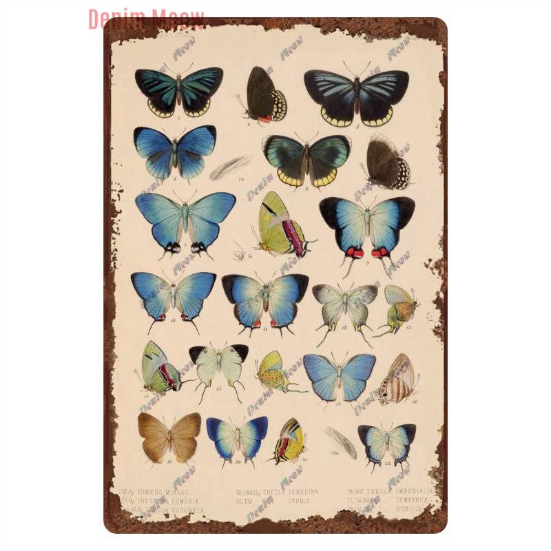 Funny Plants Metal Tin Sign Vintage English Flowers Retro Fruits Butterflys Animals Wall Poster Home Plates WY