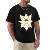 Sun Legendary Tshirt Classic Graphic Short Sleeve Top