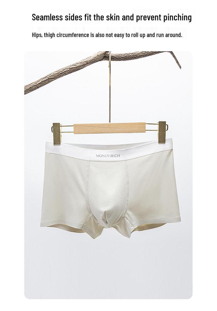 Men's Ice Silk Seamless Mid-Waist Antibacterial Boxer Briefs