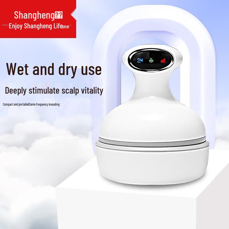 

Shangheng Electric Head Massager