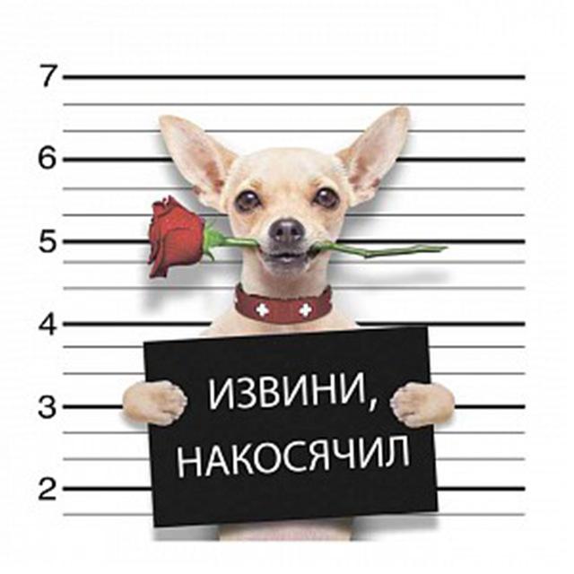 Diamantové vyšívání Dog Cross Stitch Full Drill Square Diamond Painting Animal Mosaic Decor for Home