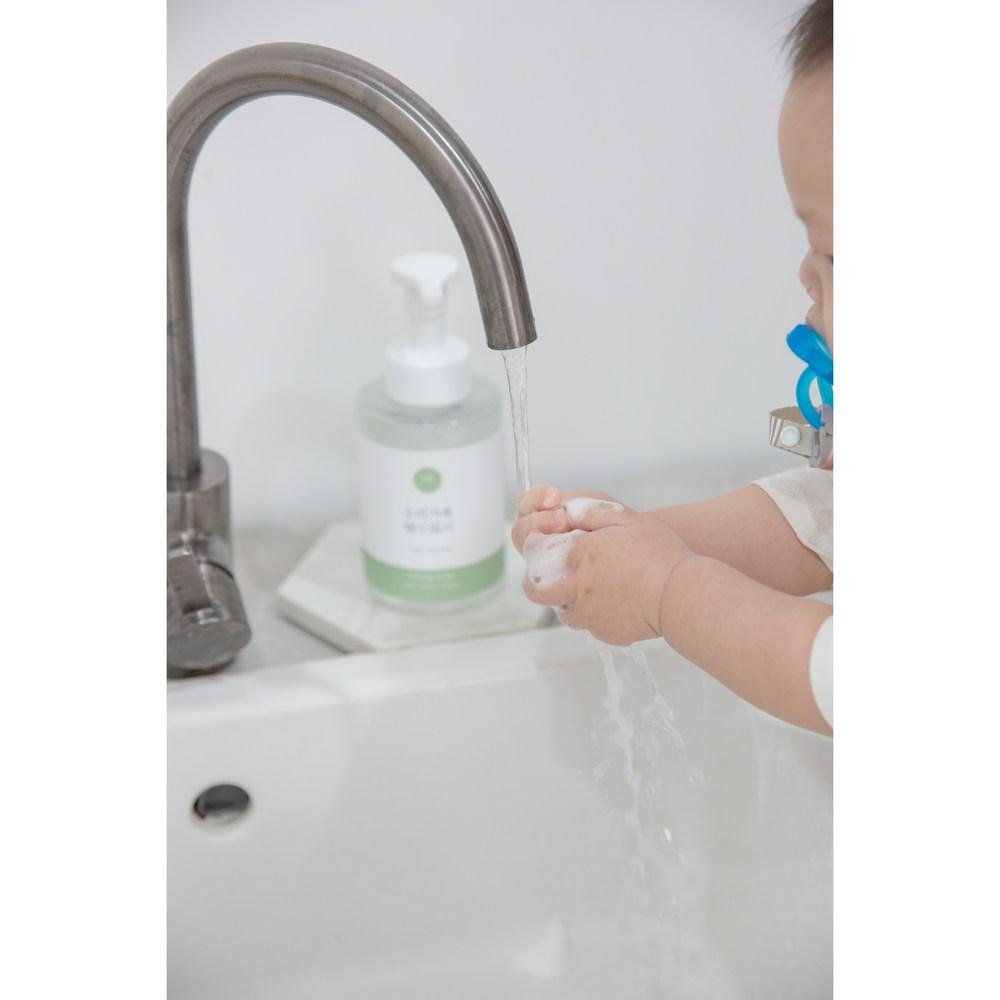 Mother, Baby and Our Family Hand Wash, 500ml, 2 units