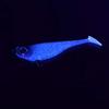 Daiwa Mackerel Mackerel, Rockfish, 1.7 Inches (42 Mm), Crepe Jako Lure