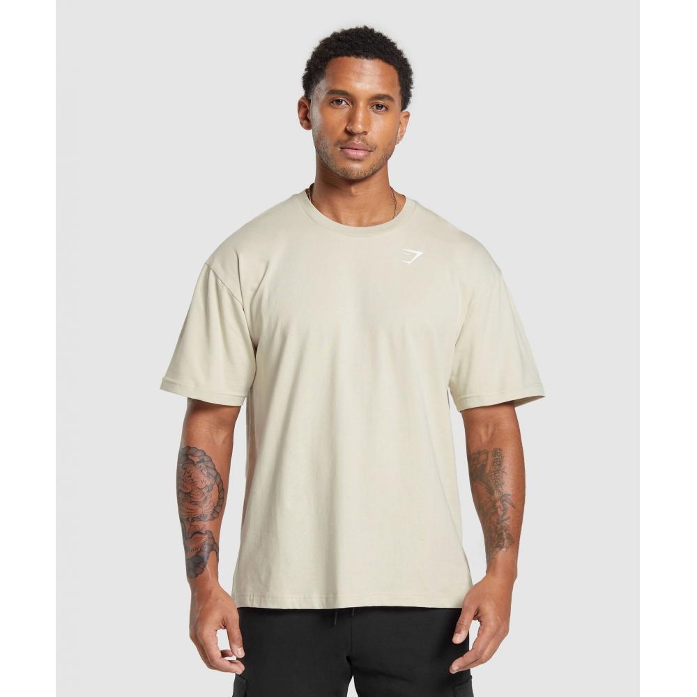 

Футболка GYMSHARK Essential Oversized Pebble Grey A1A3E GB7P