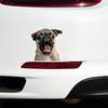 2 Pack 12.5x13cm Funny Pug Vinyl Stickers - Great for Cars, Trucks, Laptops and