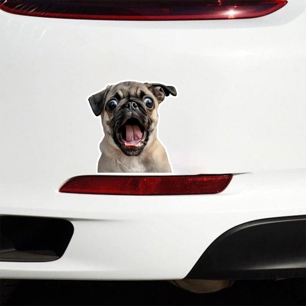 2 Pack 12.5x13cm Funny Pug Vinyl Stickers - Great for Cars, Trucks, Laptops and
