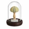 Flicker Free Shell Lamp Soft Lighting Mini LED Lamp Vintage Style Desk Lamp  Holiday Gift